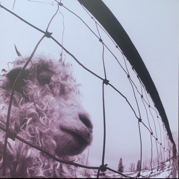 Pearl Jam - VS (30th Anniversary Ltd Ed Transparent)