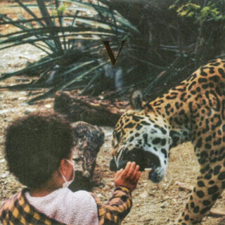 Unknown Mortal Orchestra - V (Legendary Edition 2x Vinyl LP)